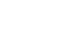 Roulement à billes